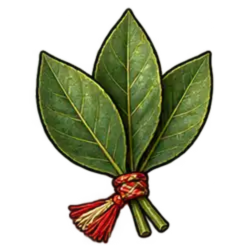 Hoja de Coca